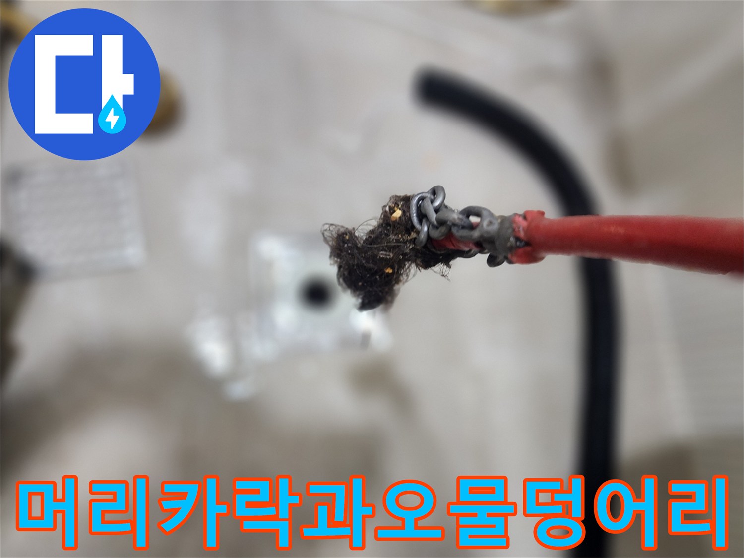 스케일링-작업-결과로-나온-머리카락-뭉치