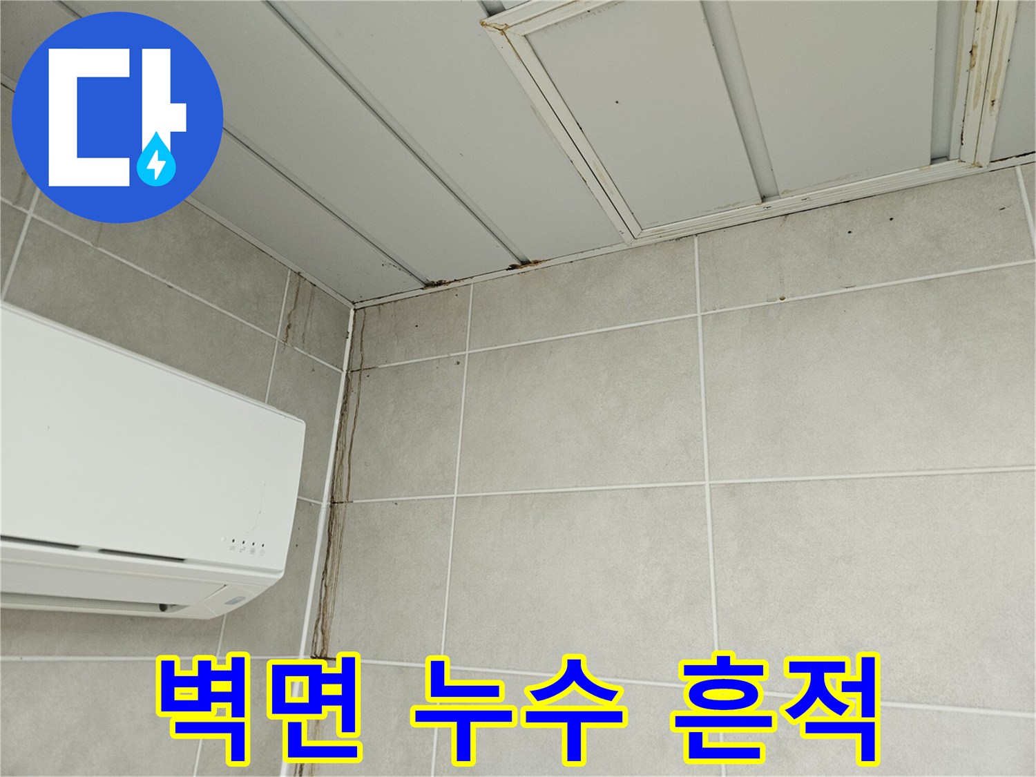 타일-사이-물길이-형성된-누수-현장-모습