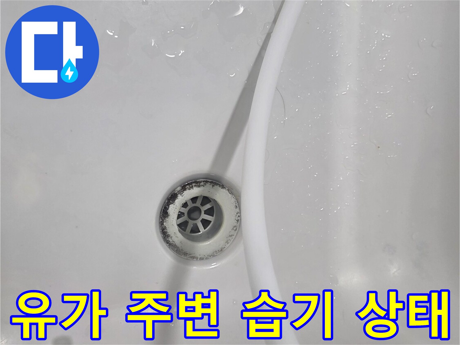 화장실 배수구 유가와 주변 타일의 젖은 모습