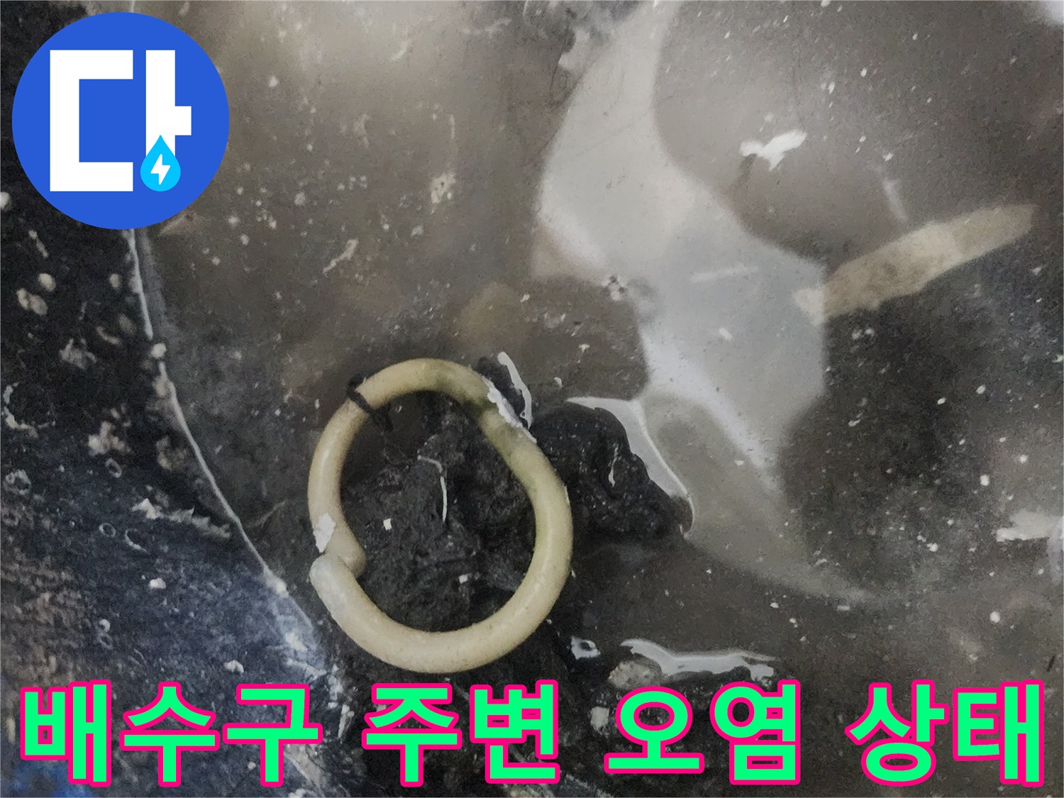 배수구-주변의-오염된-슬러지와-물고임