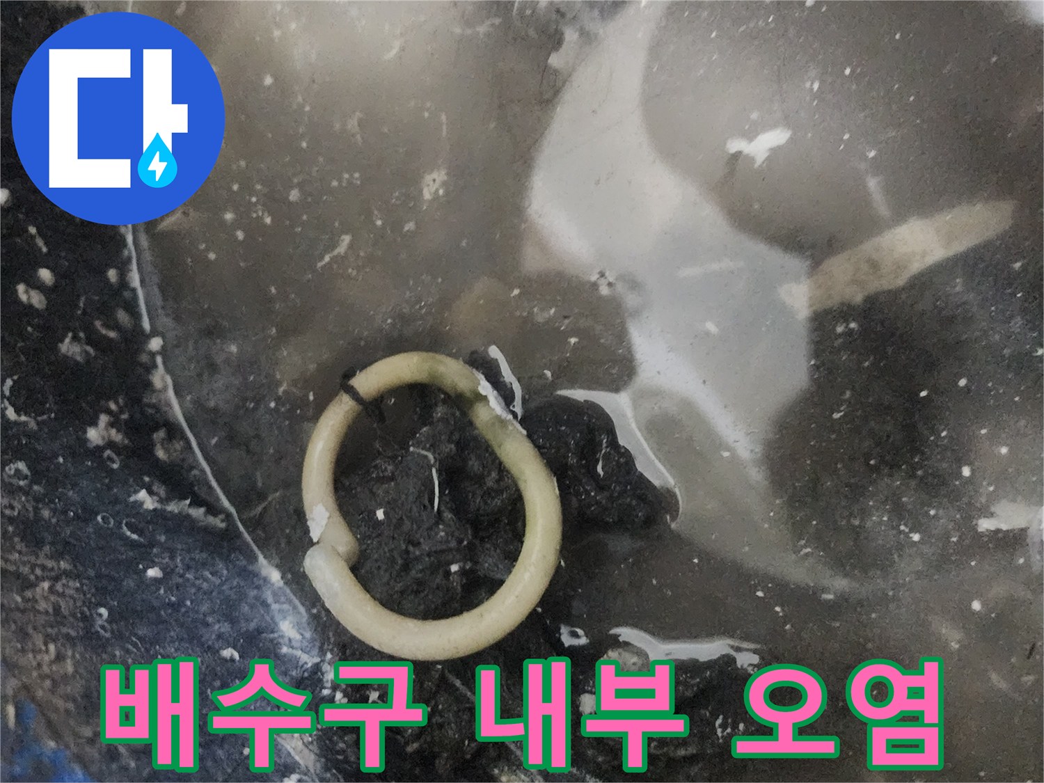 오염된-배수구-주변과-배관-내부-현황