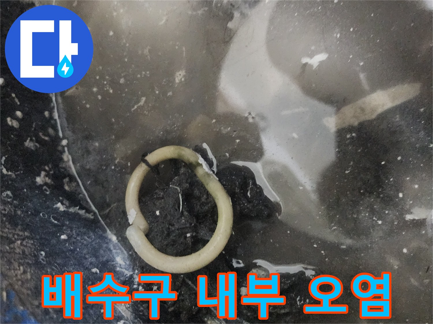 오염된 배수구 주변의 틈새와 이물질 상태