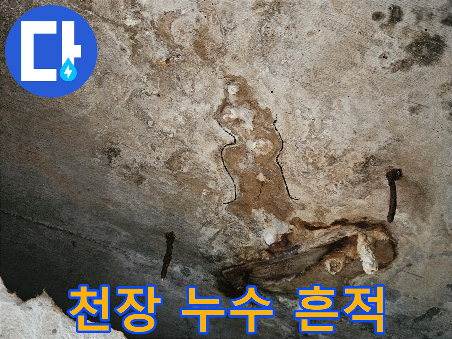동작구-사당동-아파트-천장-누수-및-곰팡이-상태