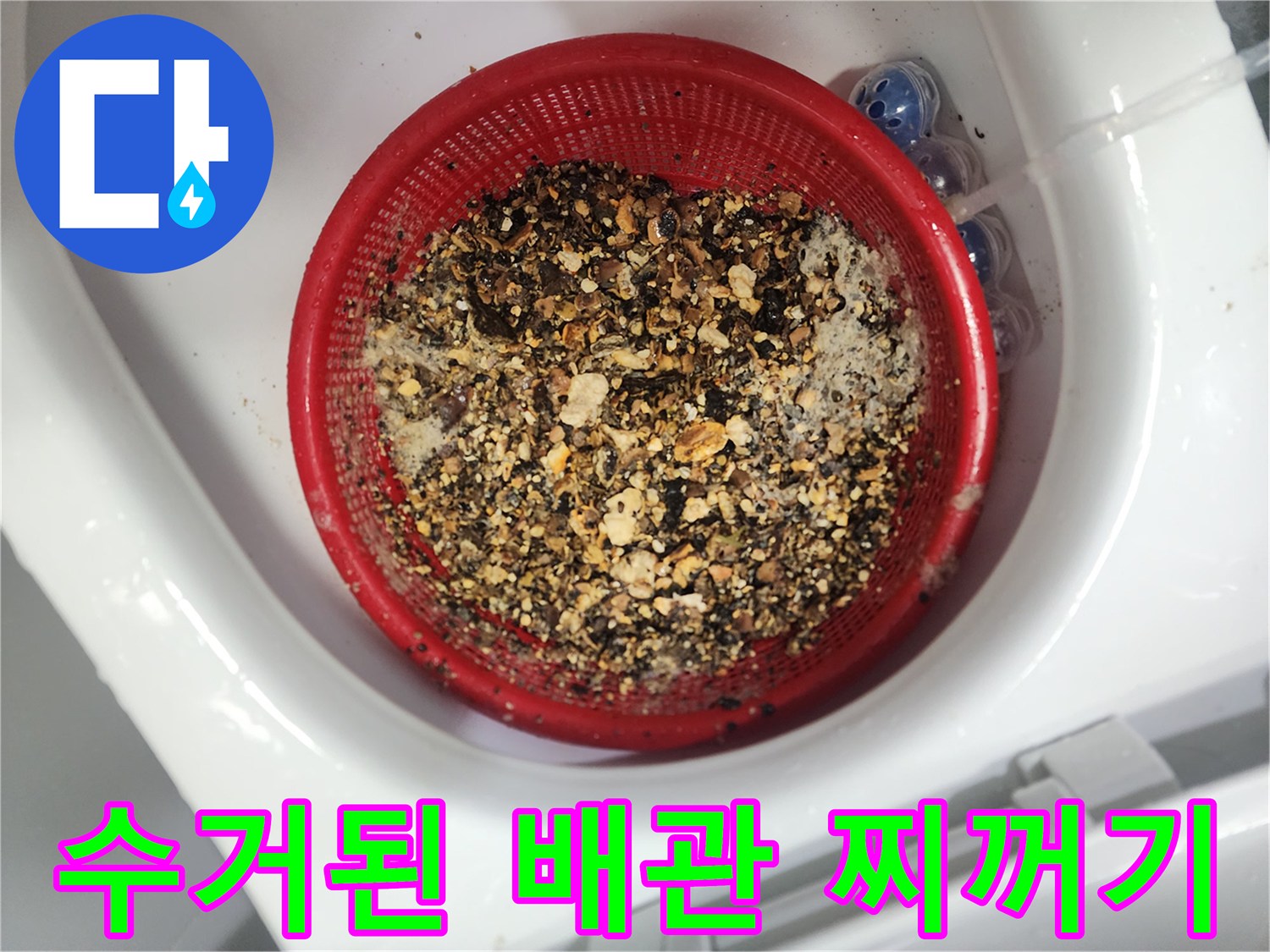 붉은 채에 걸러진 기름 슬러지 조각들