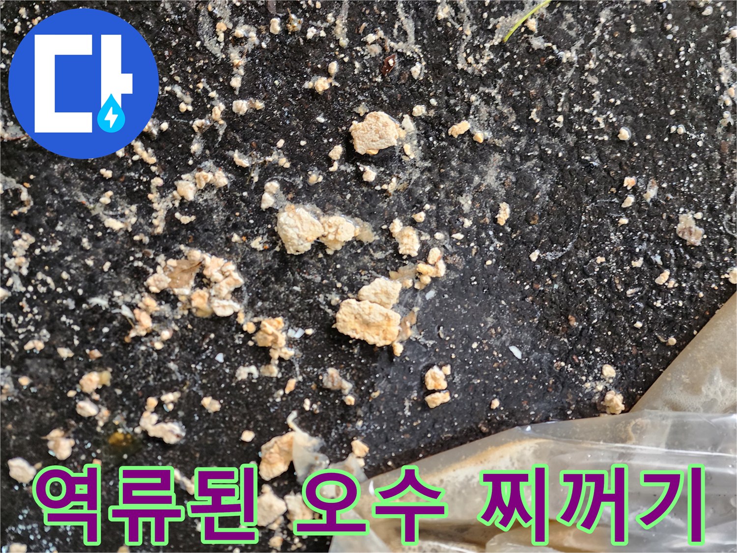 주차장 아스팔트 위로 퍼진 하얀 슬러지 조각들
