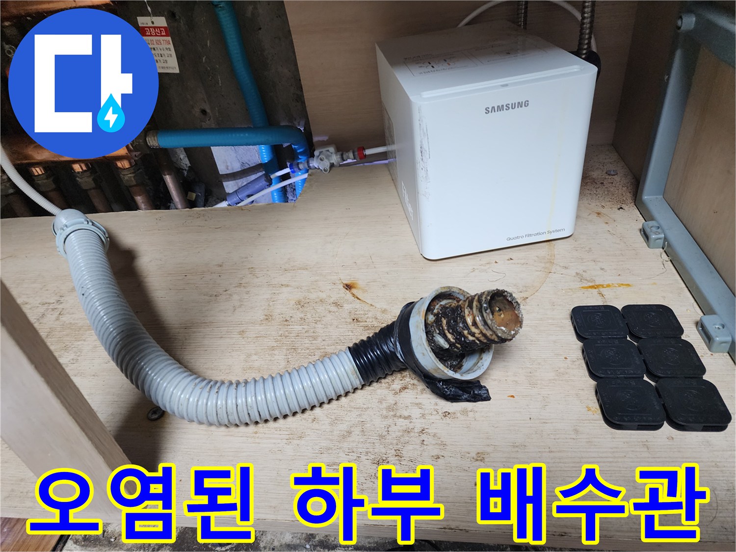 슬러지가 가득한-싱크대 배수 호스 상태