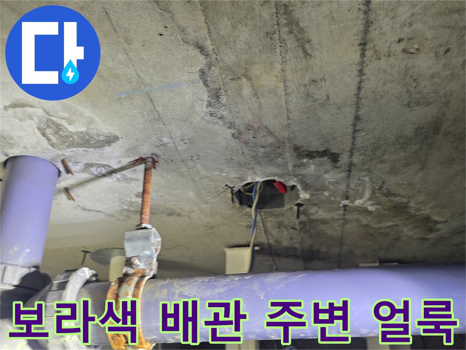 천장 내부 보라색 배관-주변 습기 및 오염 확인