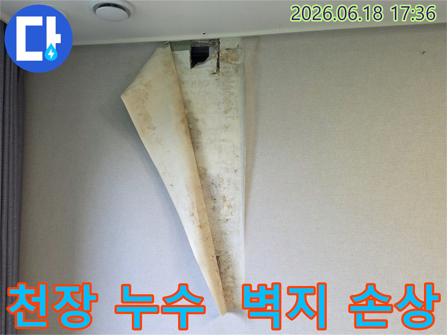 천장 부근에서 발생한 누수로-벽지가 들뜨고 젖어-곰팡이가 생긴 모습