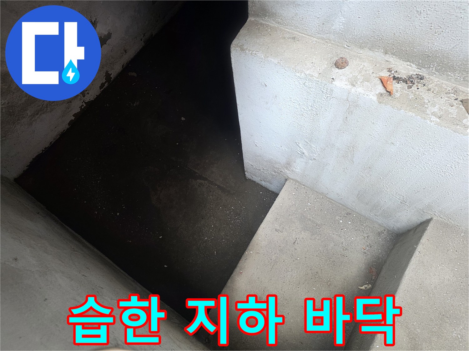 어둡고-축축하게-젖은-지하 공간입니다.