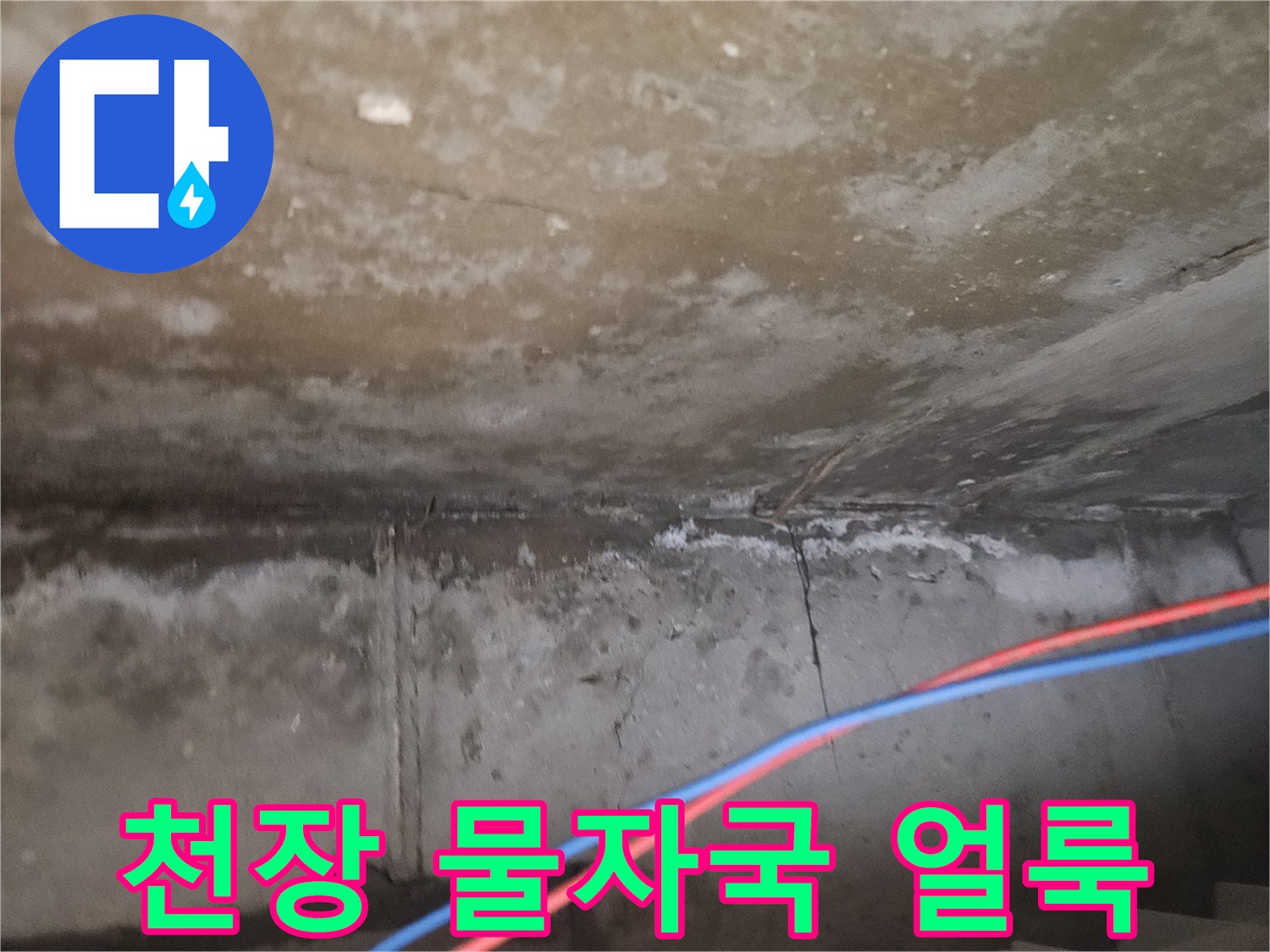 물샘 현상이 진행된 천장 내부 모습
