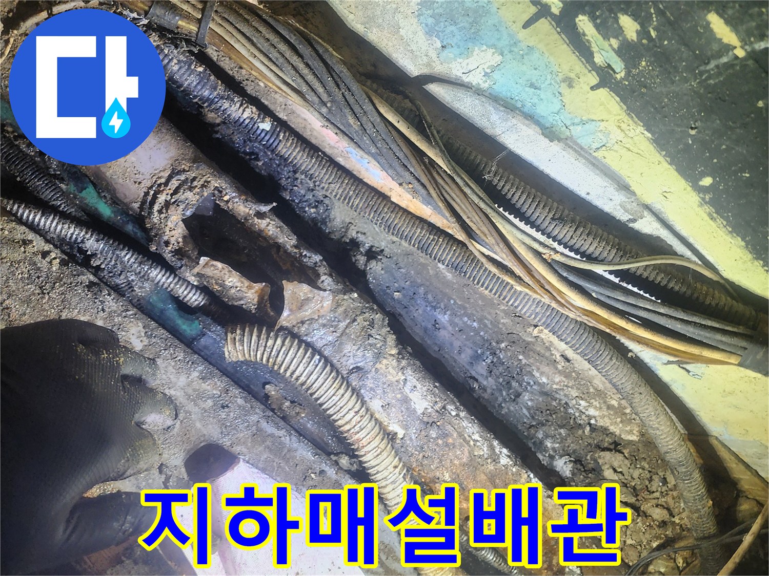오래된-건물-지하에서-발견된-배관-파열-현장과-탐지-작업