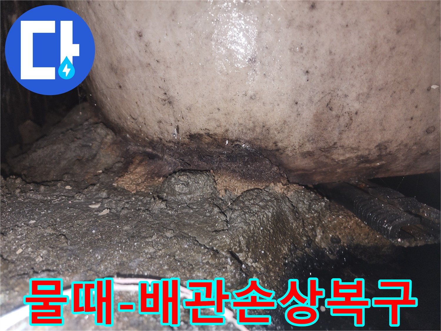 누수 지점에서 발생한 곰팡이와 물때-그리고 부식된 배관의 심각한 상태