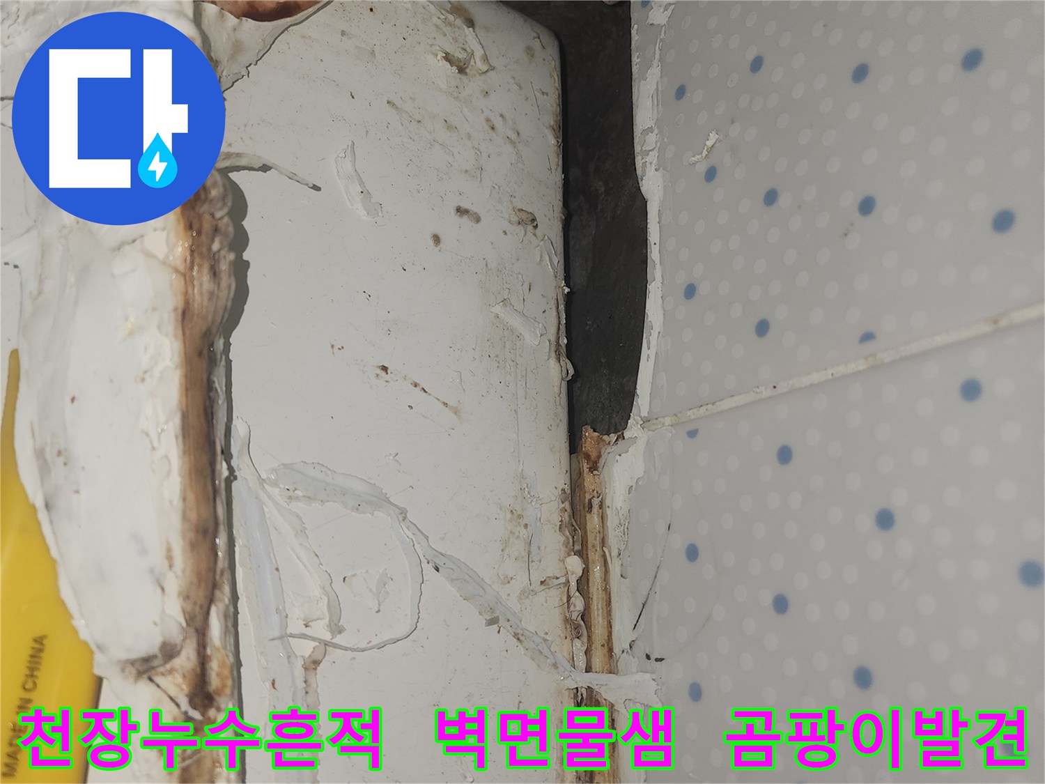 천장과-벽면-경계에서-발견된-오래된-누수-흔적과-곰팡이-오염-현상