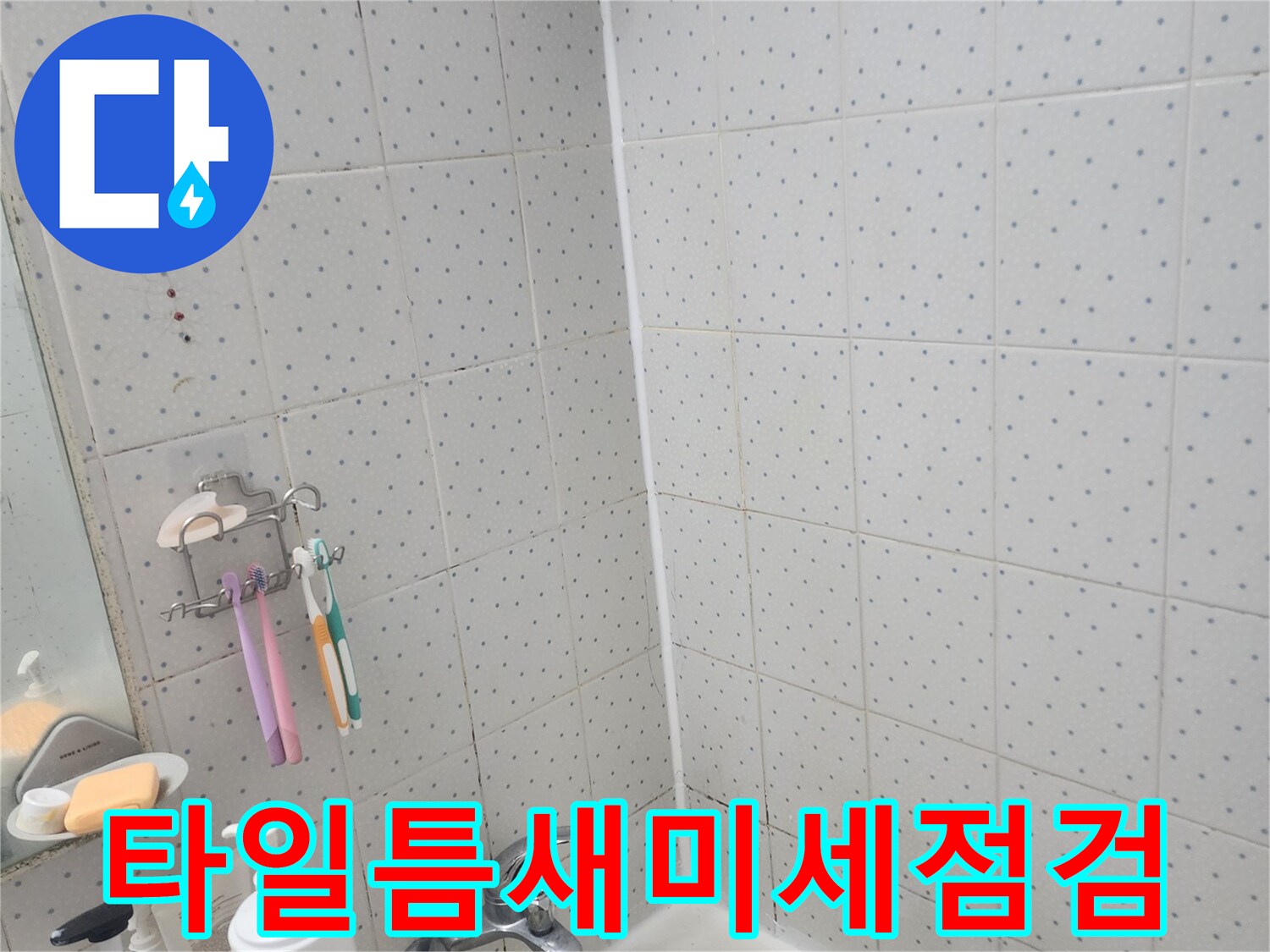 한신아파트-욕실-누수-타일-사이-미세한-틈새-정밀-점검-모습
