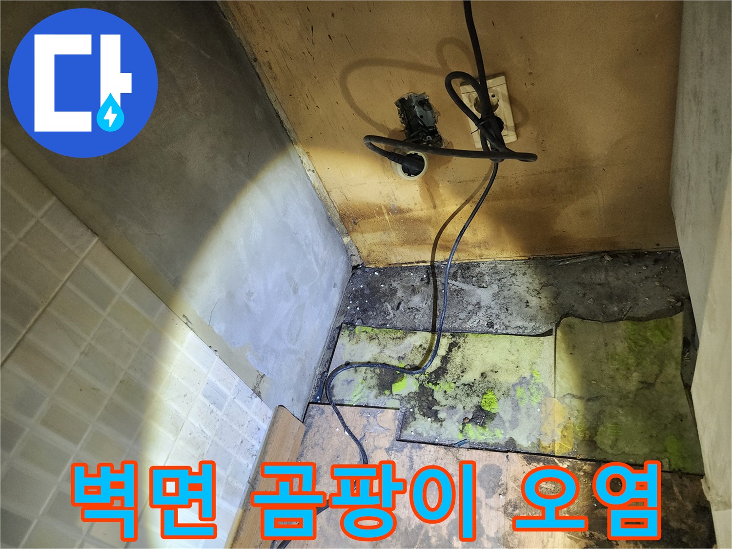 송파구 현장의 벽면 콘센트 주변 곰팡이와 습기 흔적