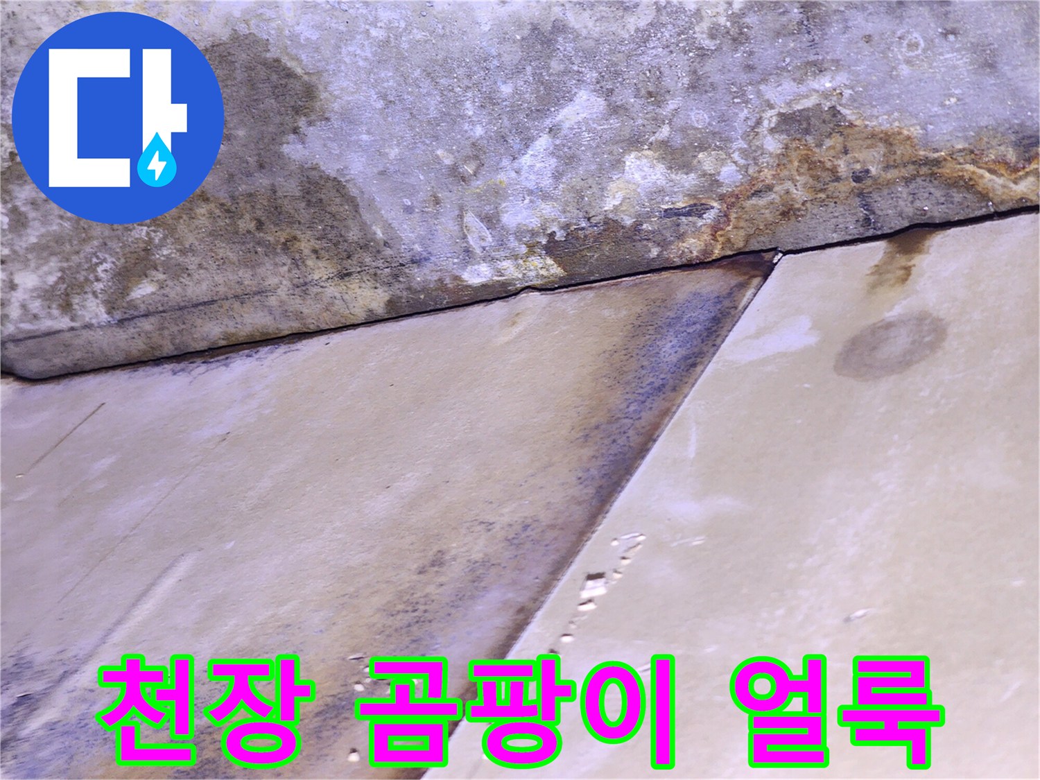 습기 침투로 인한-천장 마감재 및 콘크리트 변색