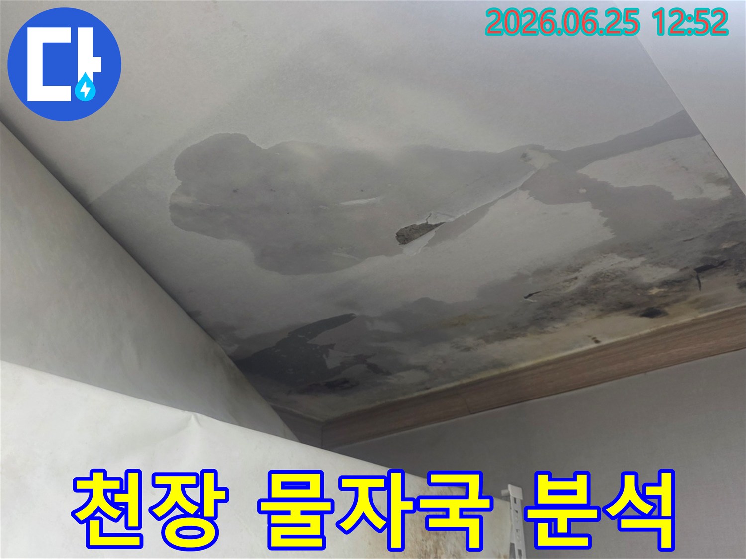 천장에 넓게 퍼진 물자국과 변색-곰팡이로 인한 누수 피해 현장