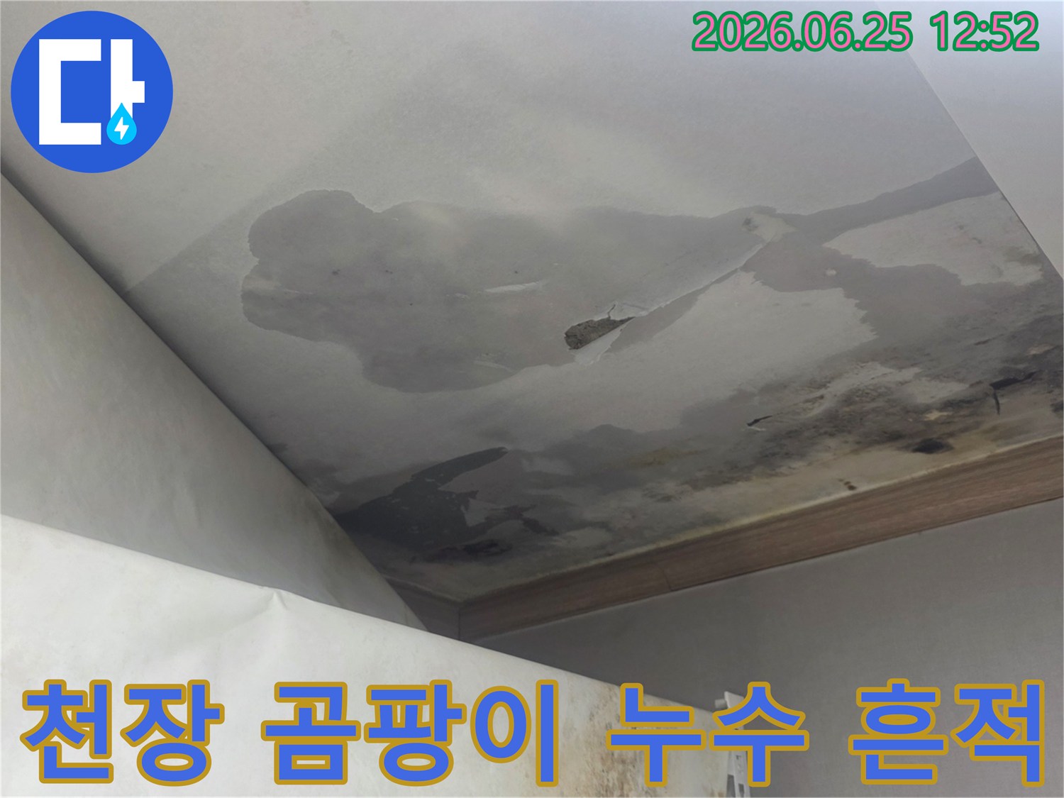 천장에 물이 새어 검게 변색되고 곰팡이가 피어난 심각한 누수 현장
