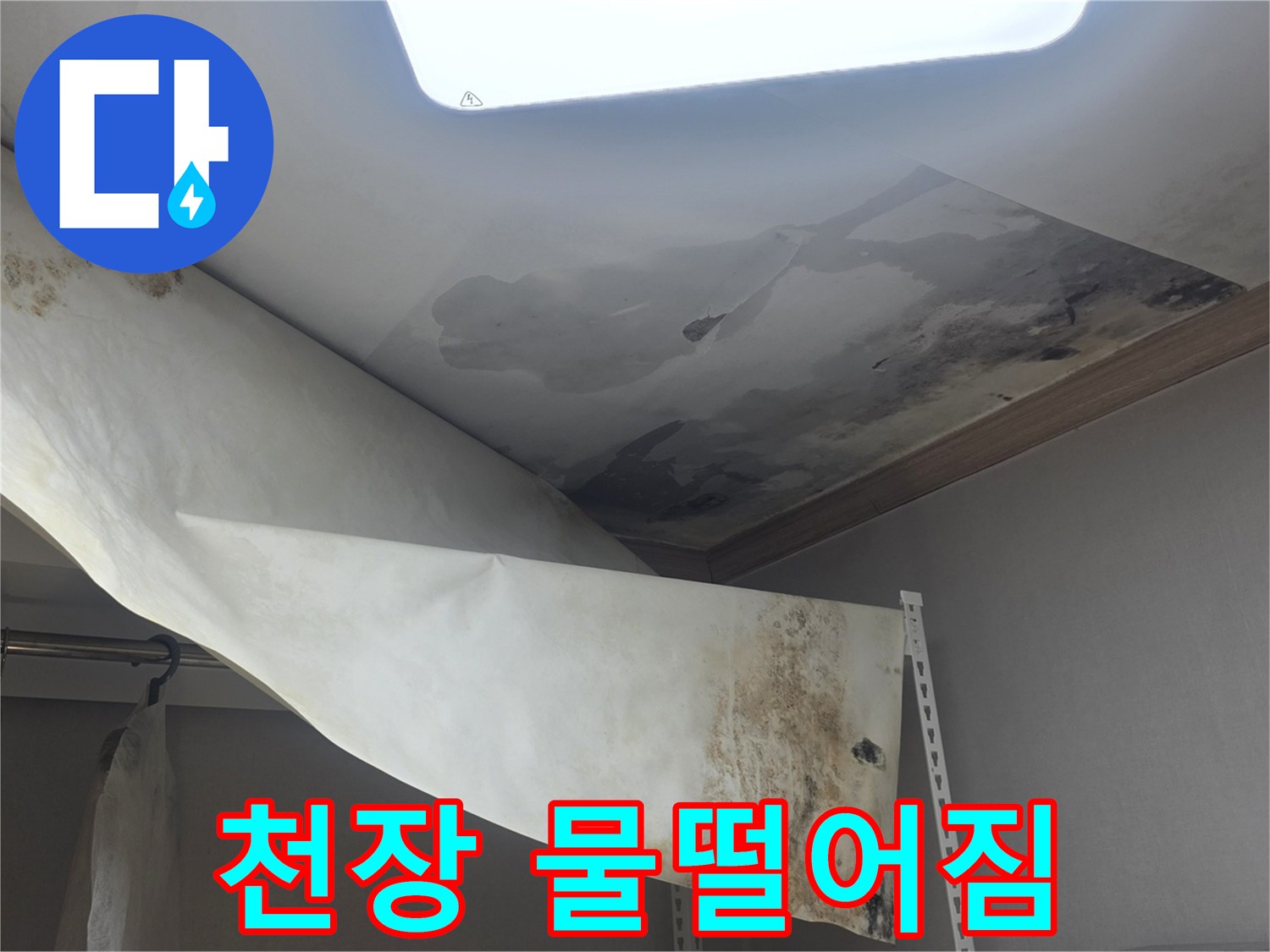 천장에서 물이 떨어져-벽지가 젖고-곰팡이가 발생한-심각한 누수 현장입니다