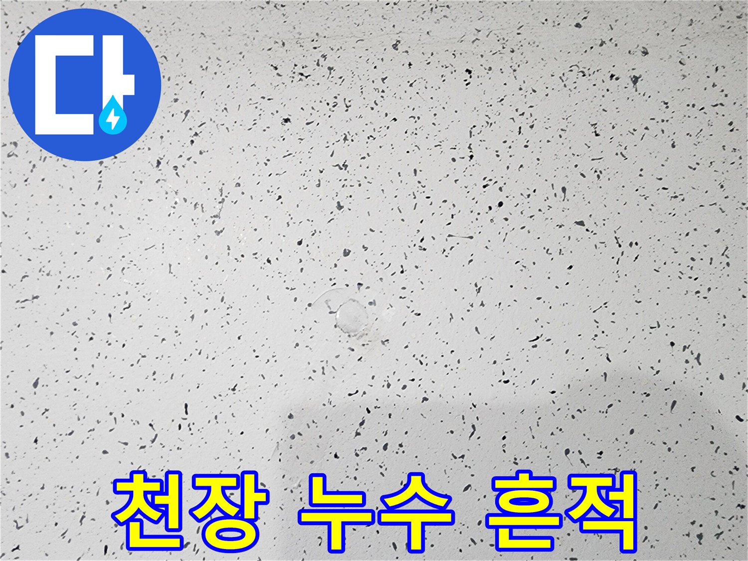 복도 천장에 발생한 누수 침투 및 변색 현상