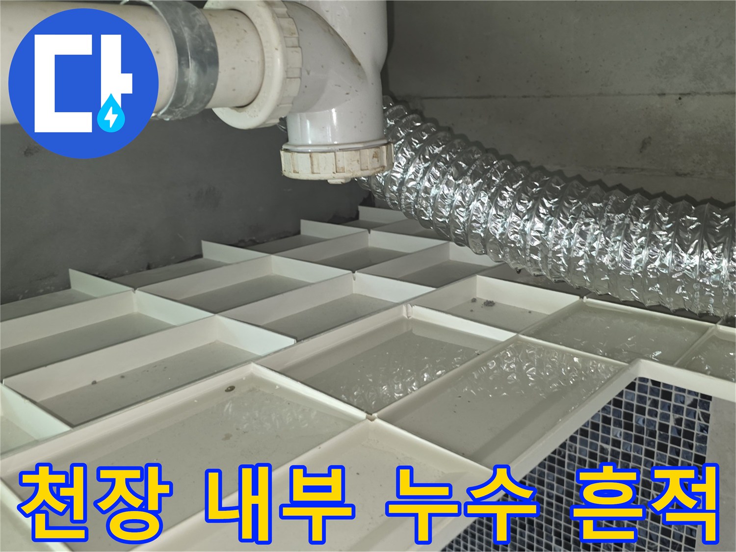 배관 주위에 맺힌-물방울과 습기가 가득한 천장 구조물