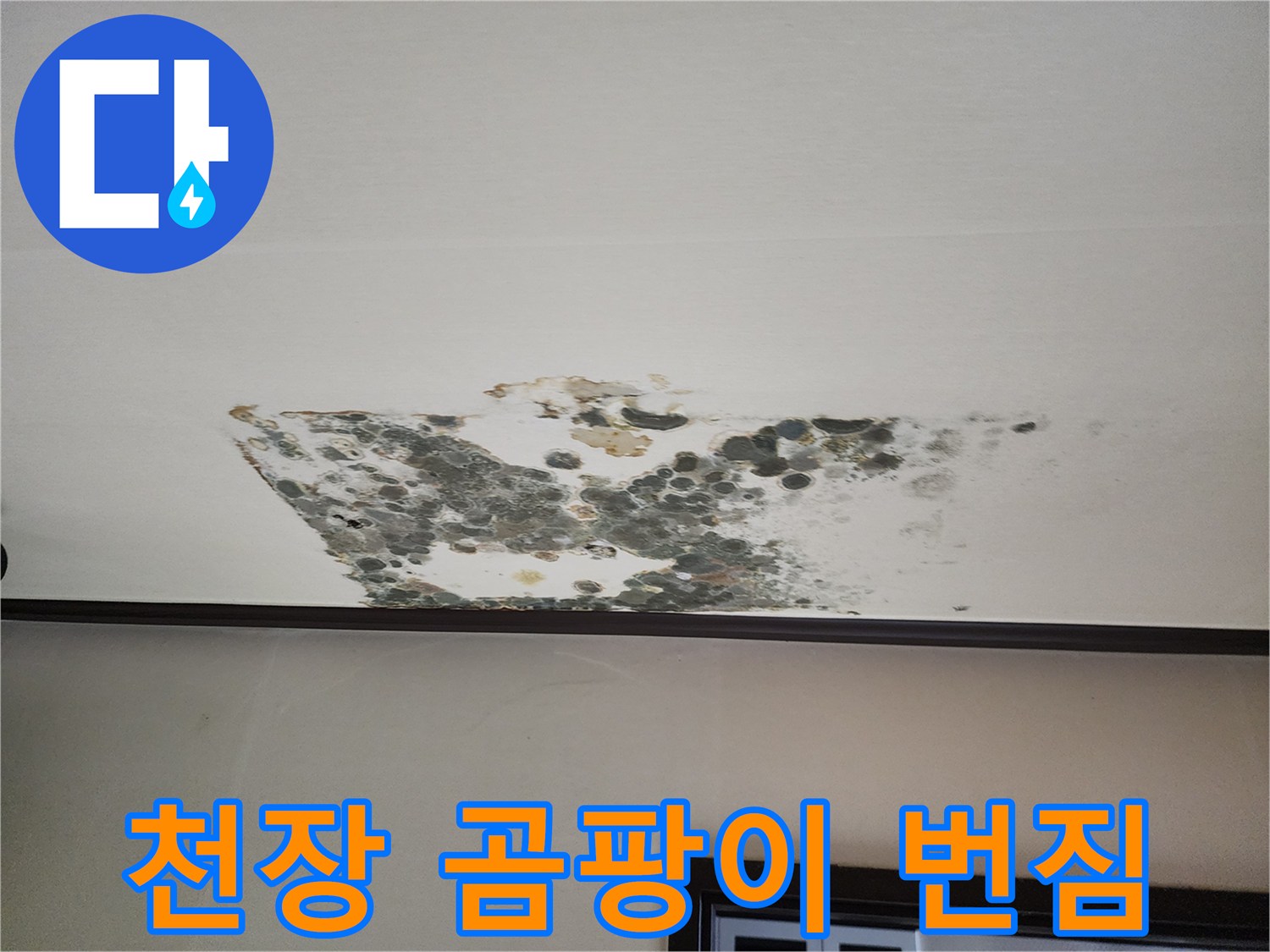 습기 침투로 인한-천장 벽지의 검은 곰팡이