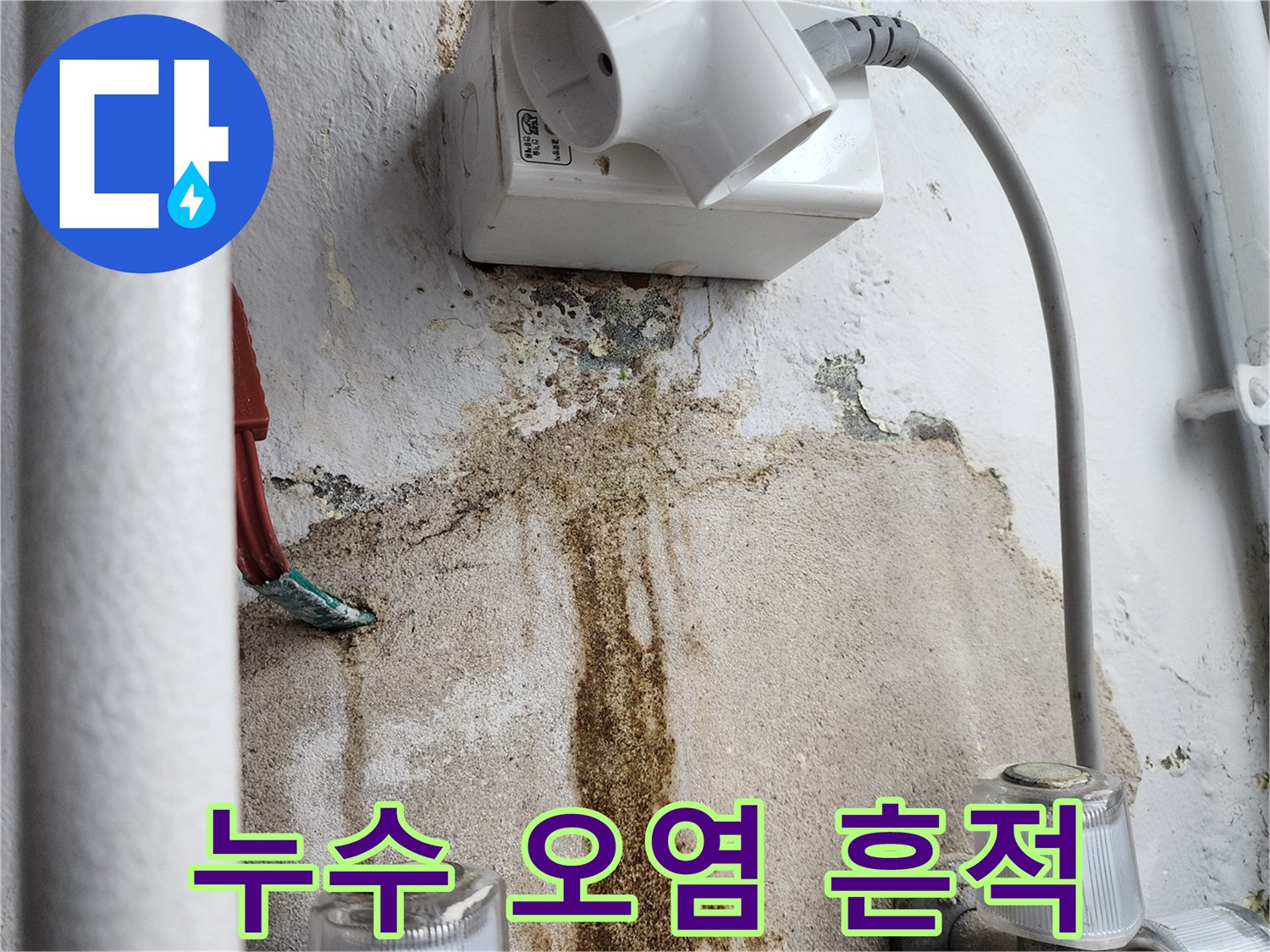 배관-연결부-주변-벽면-오염-확인