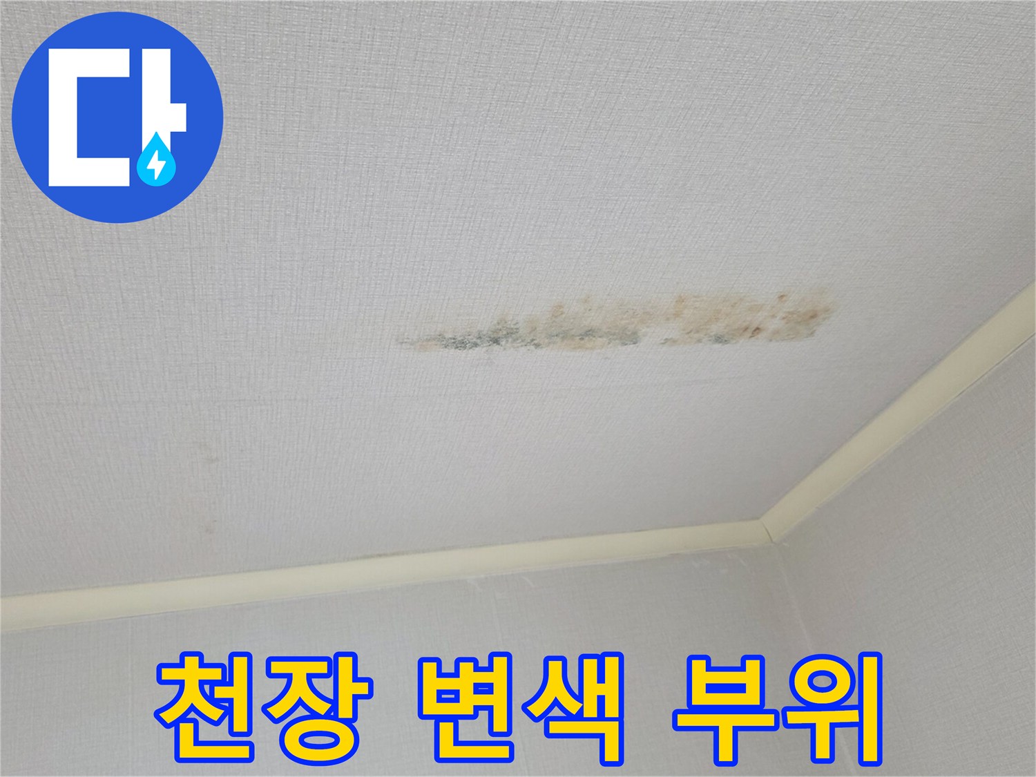 누수 흔적이 남은 천장-도배지 오염 상태