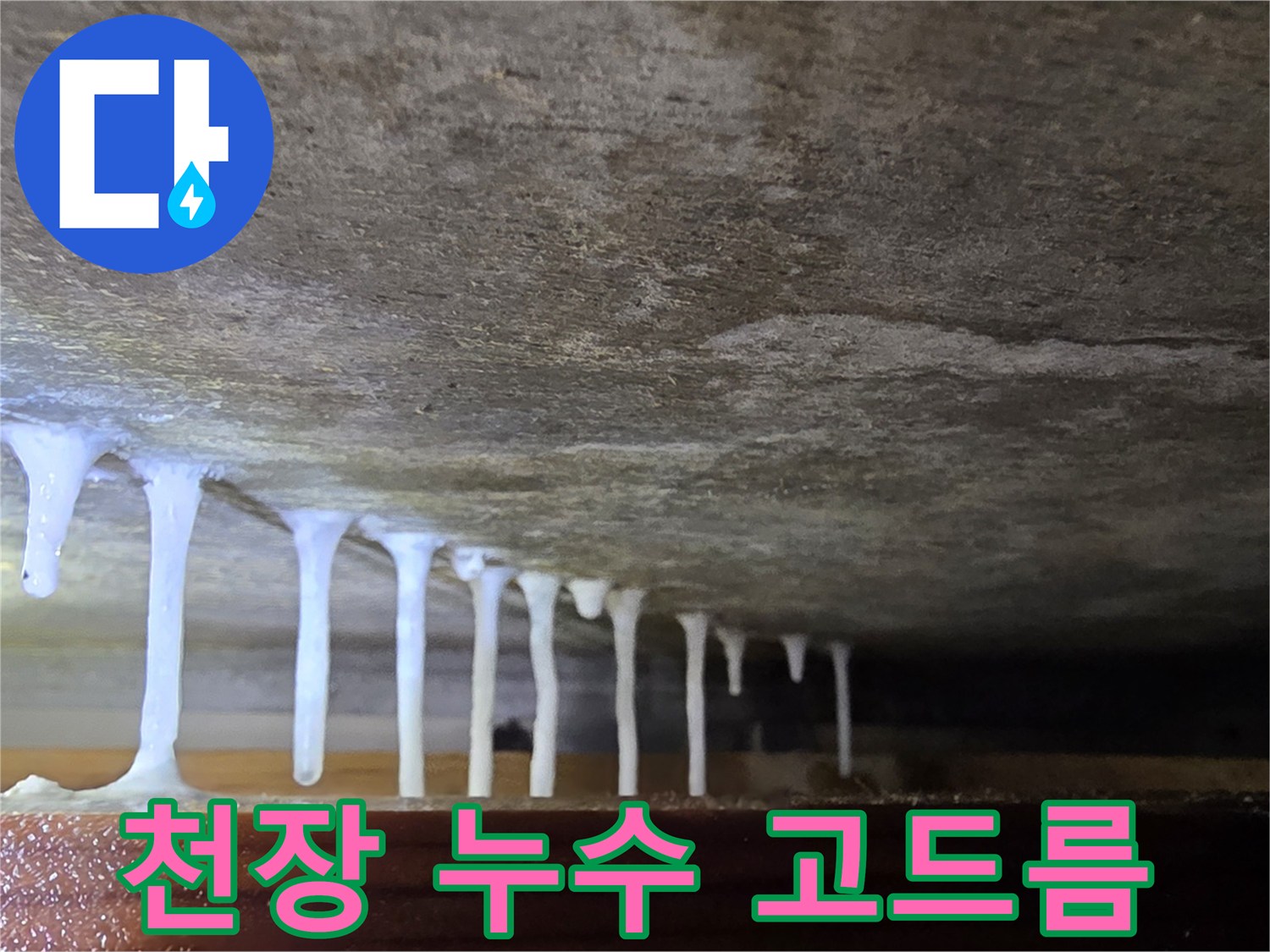 누수로 인해 생성된 천장 석회 고드름