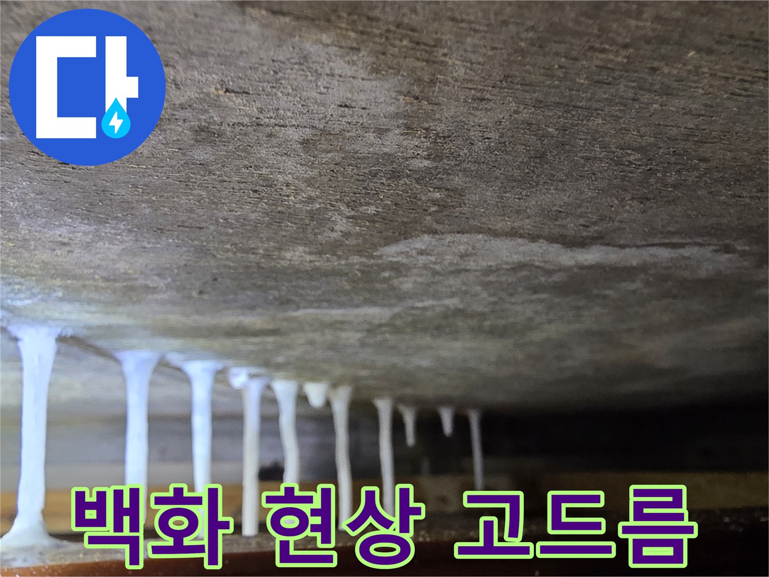 천장 면을 따라 형성된 하얀 석회물 덩어리