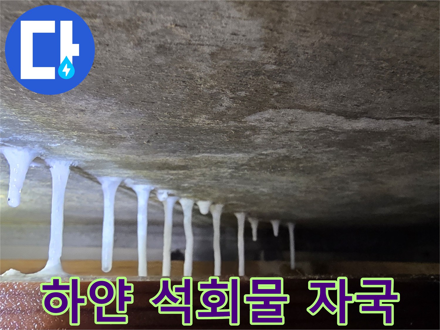 천장에서 맺혀 내려오는 하얀색 석회수