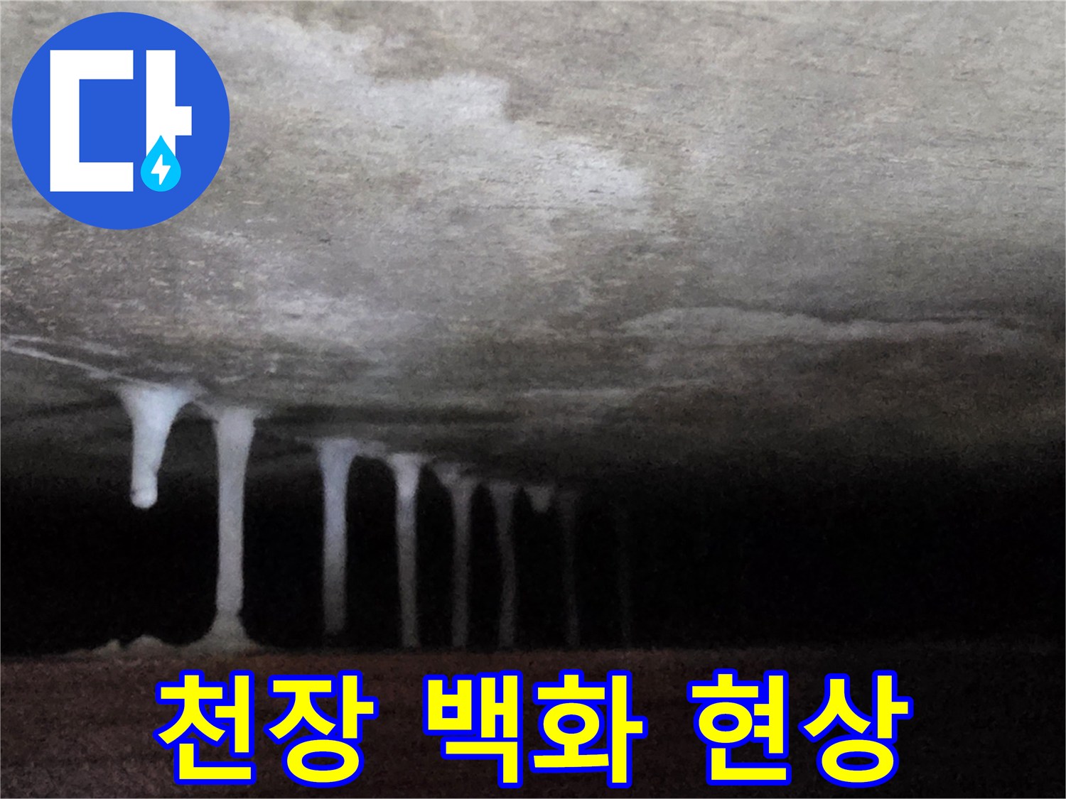 하얗게 굳어버린 석회물 형태의 누수 흔적