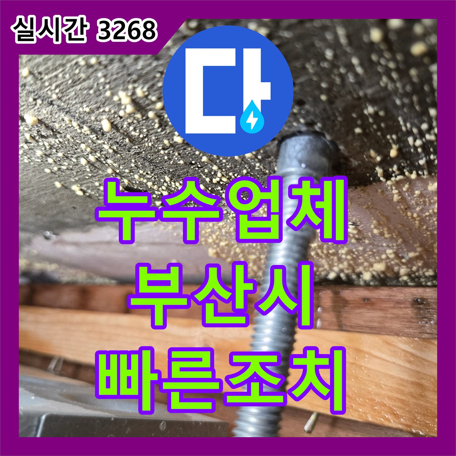 누수업체 발생한 누수 문제, 고객 맞춤형 해결책 부산시