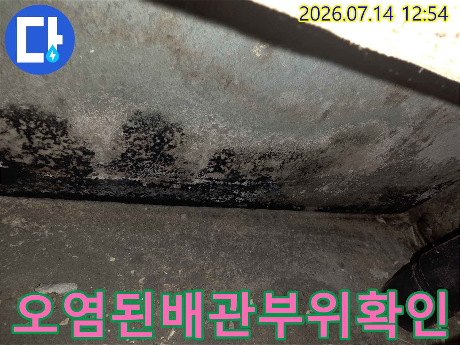배관 주변의 검은 얼룩과 습기로 인한 곰팡이 발생 현장
