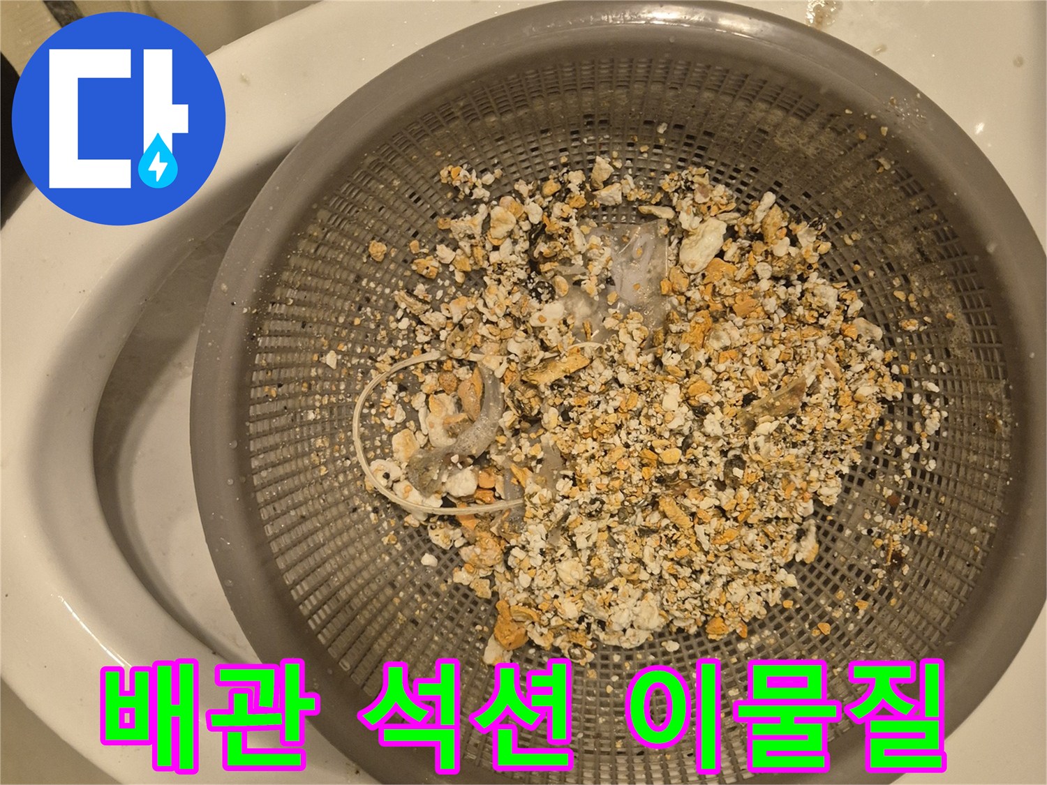 싱크대 배관 석션 작업 후 필터에 걸러진 음식물 찌꺼기와 기름 슬러지