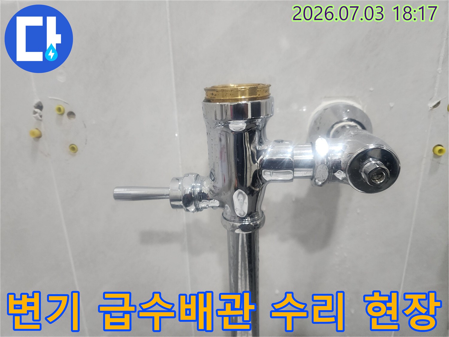 변기_급수밸브_및_배관_연결부위_점검_현장