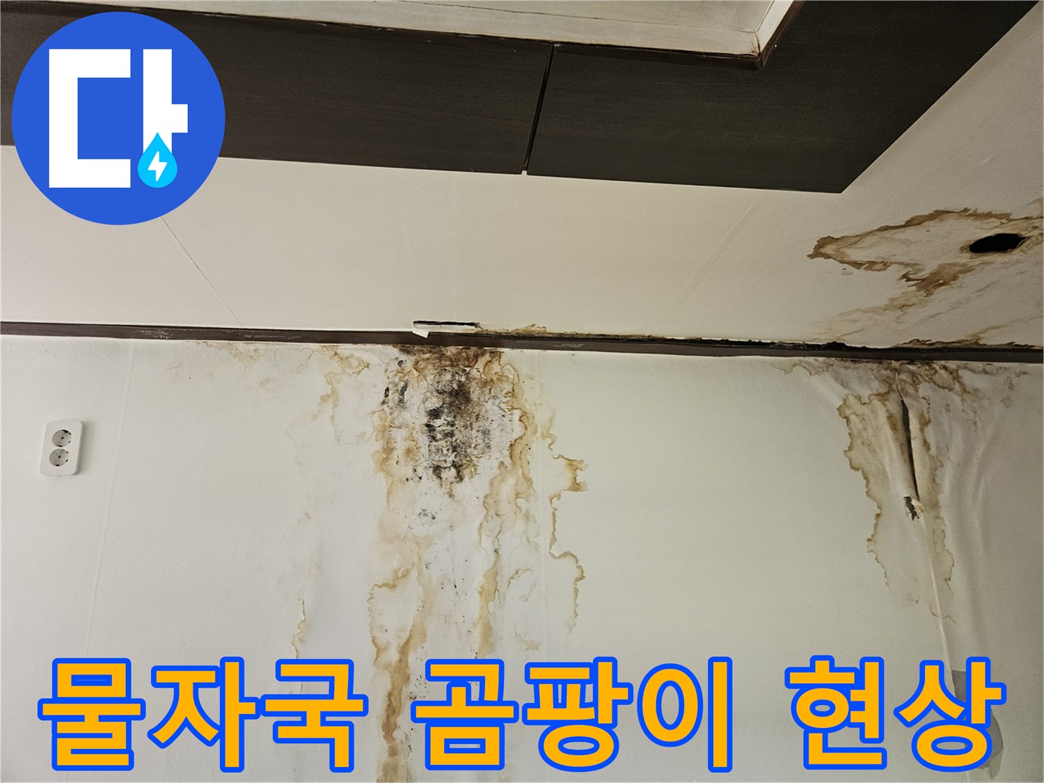 아래층-천장-및-벽면의-심각한-누수-오염