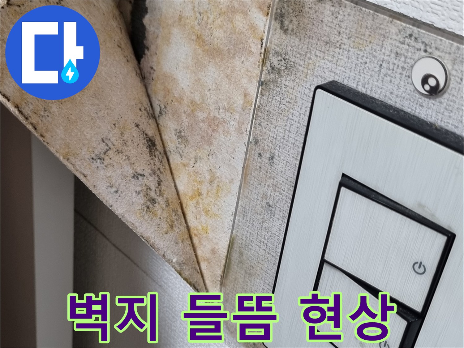 벽지-들뜸과-곰팡이-오염-부위
