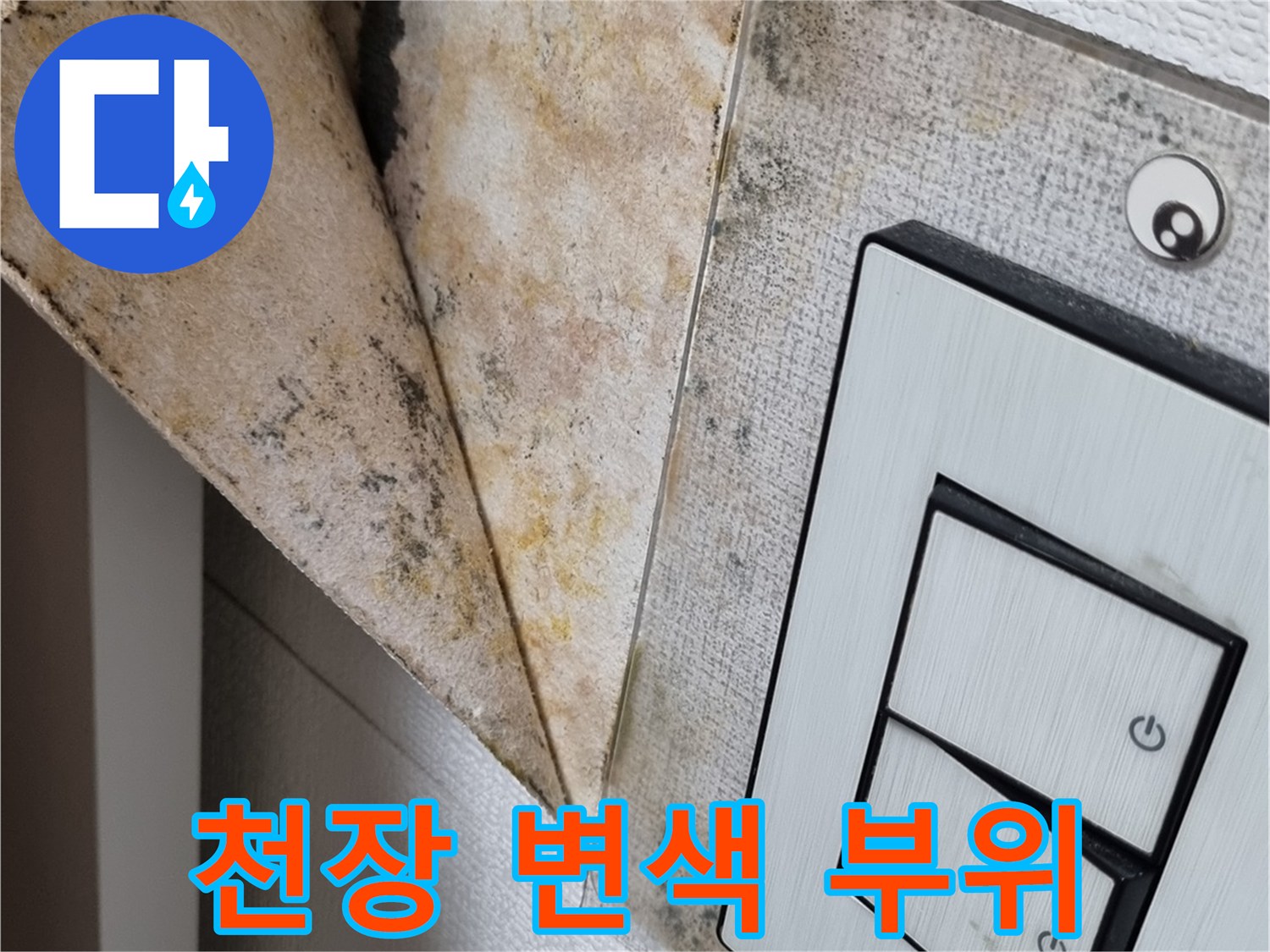 스위치-박스-주변-벽지-들뜸