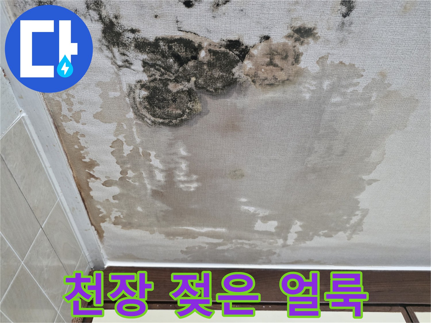 습기로 인해 검게 변한 천장 벽지 모습