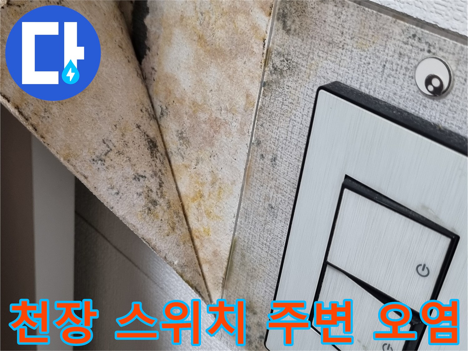 천장 스위치 박스 근처의 누수 흔적과 곰팡이
