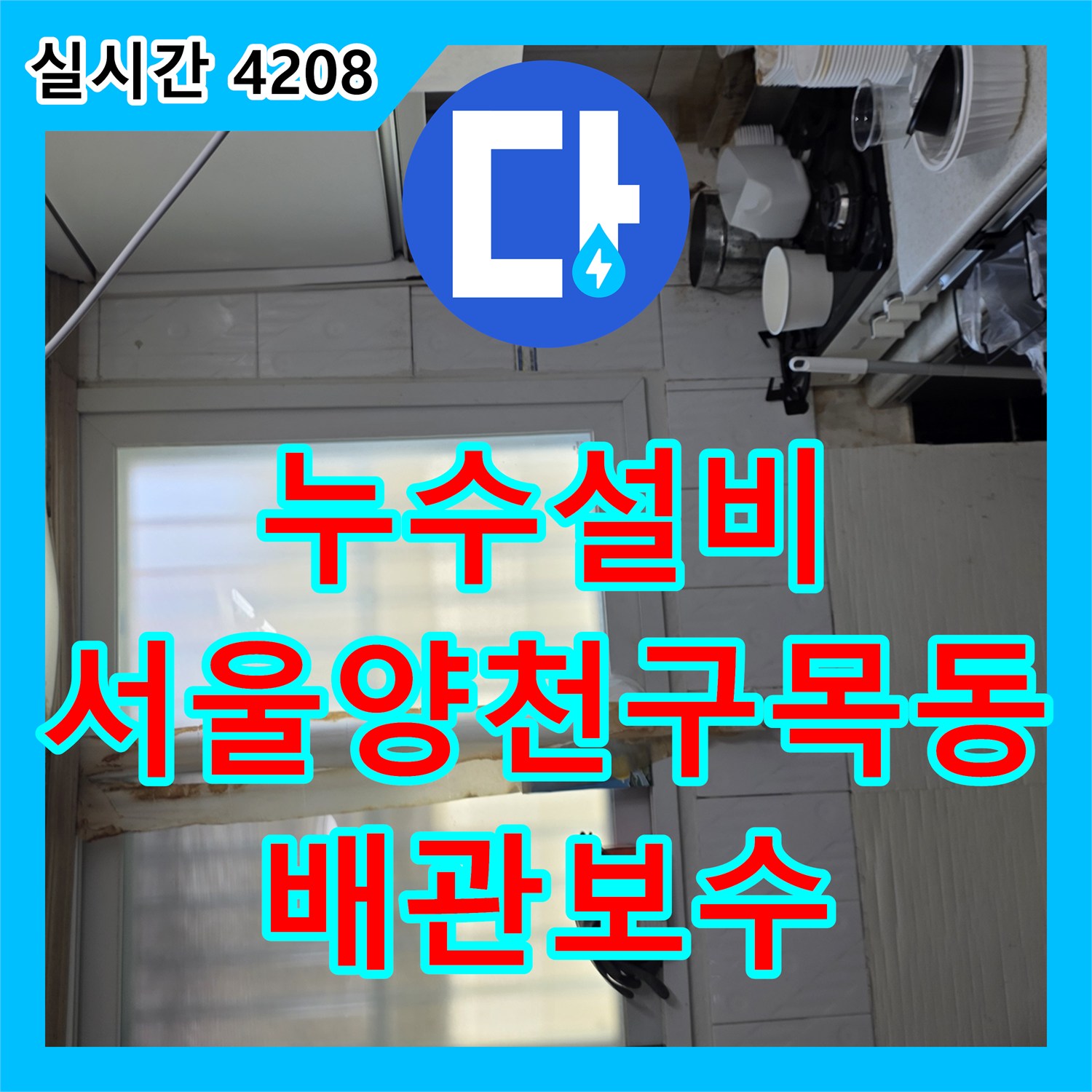 누수설비 서울 양천구 목동 빌라 하수 메인관 결함으로 인한 지하층 천장 누수 해결