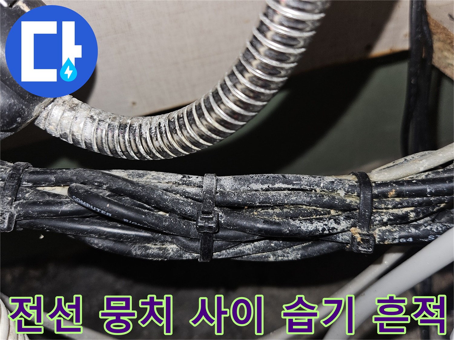 먼지와 습기가 엉겨 붙은 배관 부위