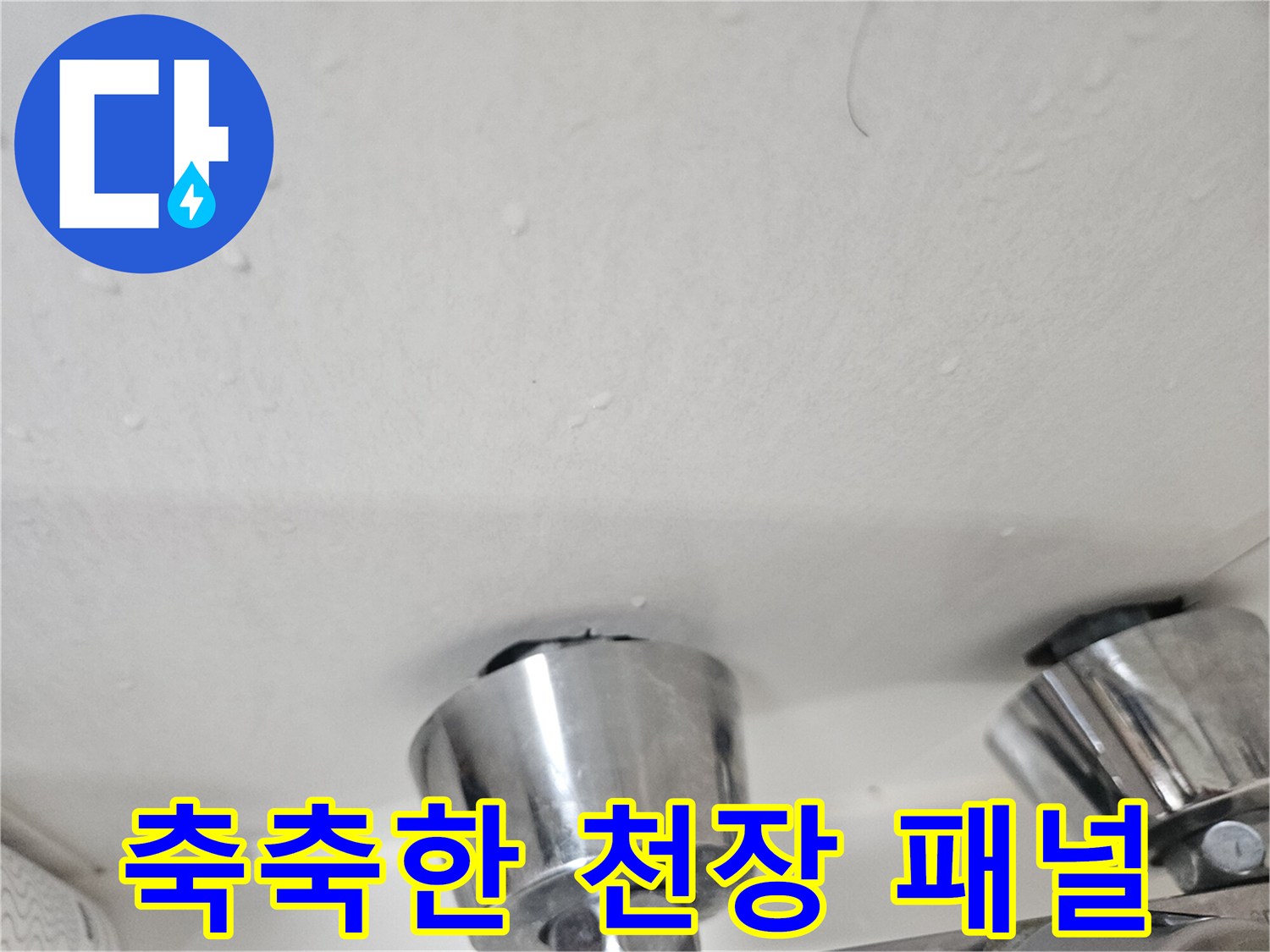 물기가 스며들어 젖어있는 화장실 천장 내부