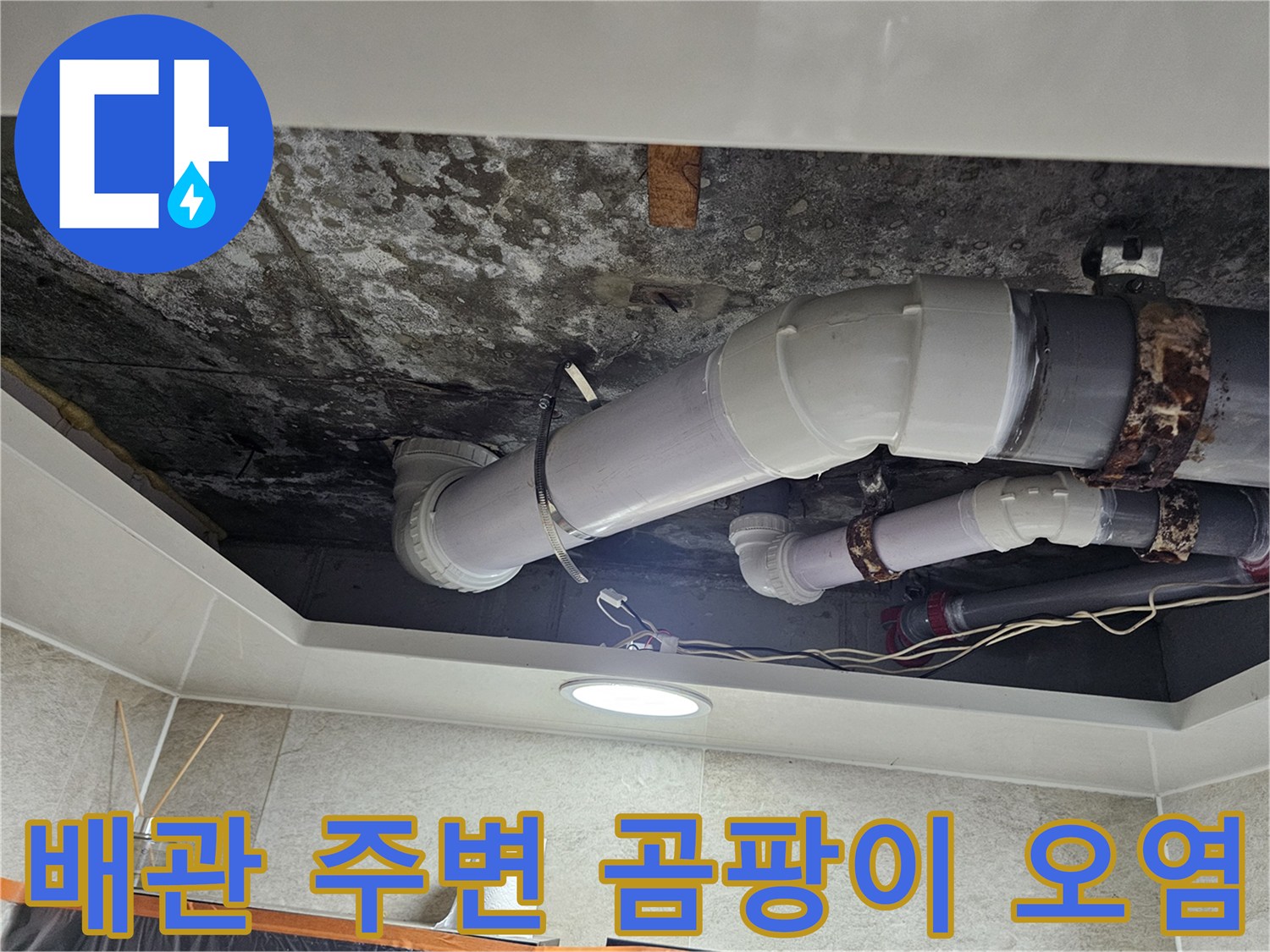 천장-내부-배관-주변의-심한-곰팡이-오염