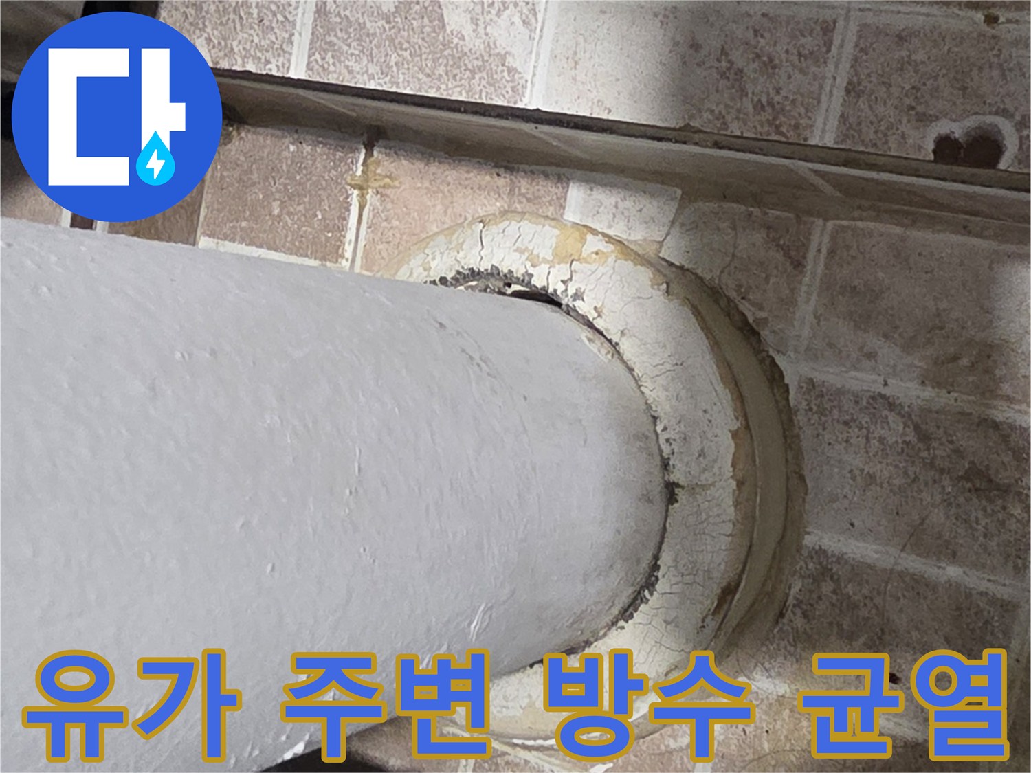 배수구-주변-타일-및-배관-틈새-상태
