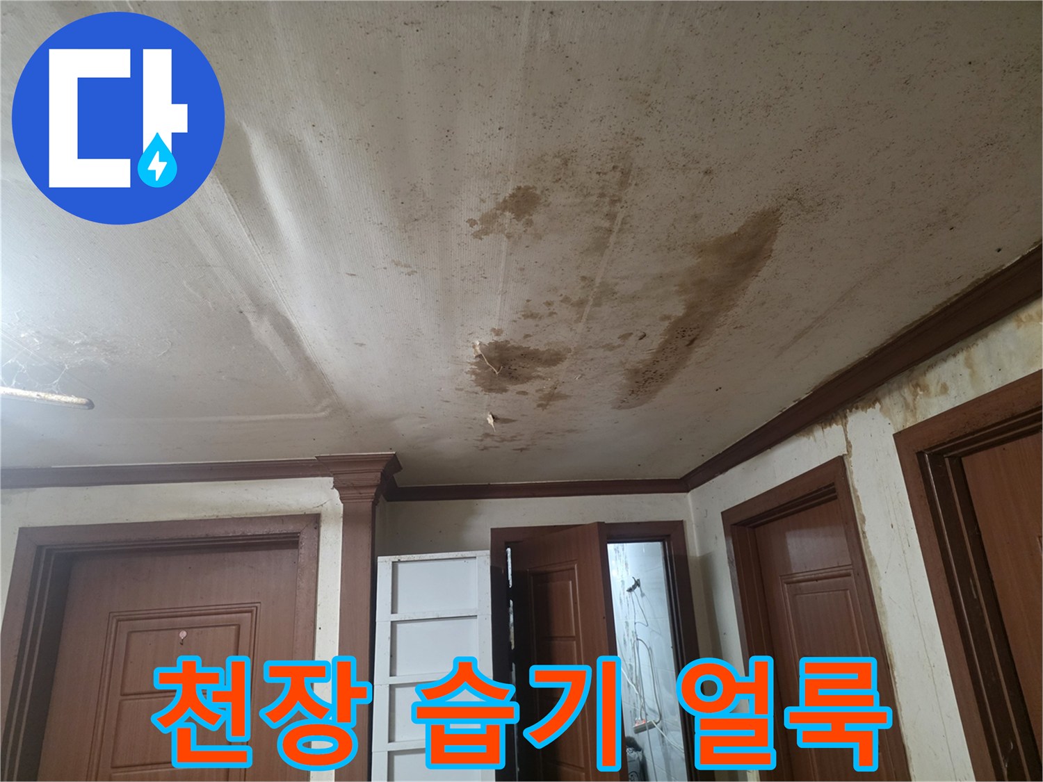 누수로-오염된-거실-천장의-모습