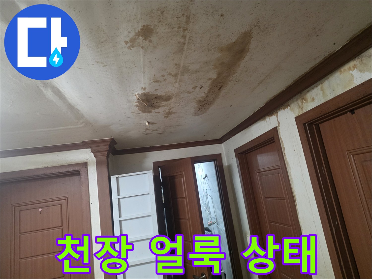 부천 오정/거실 천장의 누수 흔적과 얼룩
