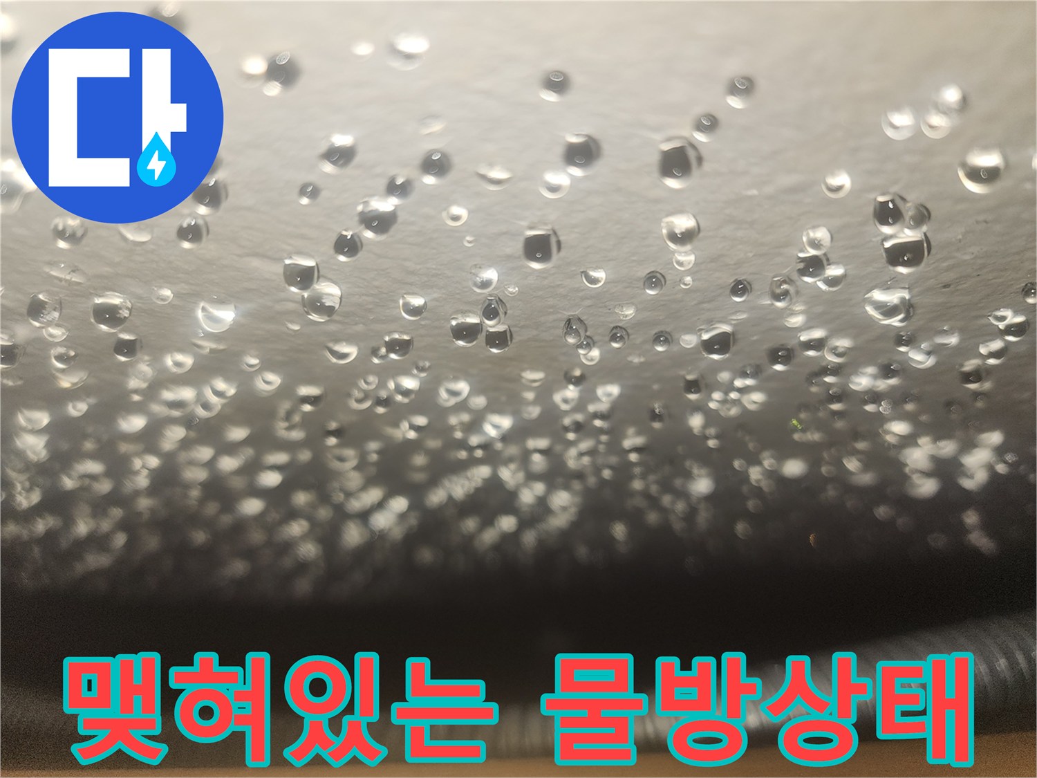 천장 마감재에 맺힌 투명한 물방울들