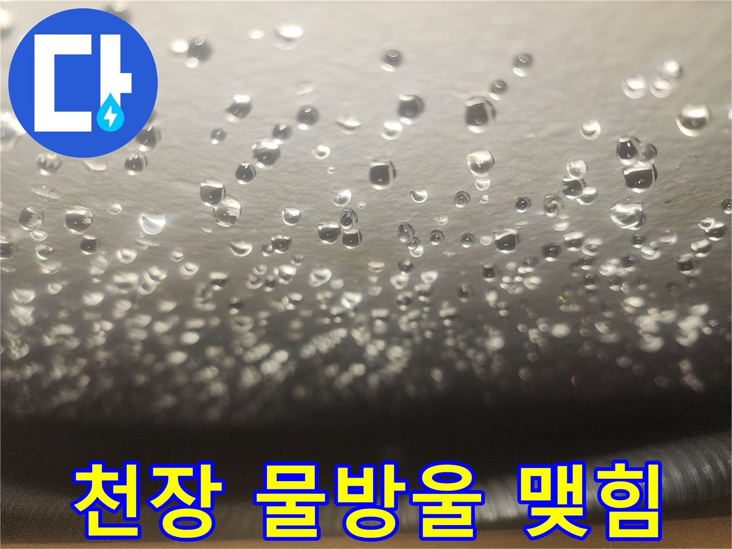 천장에 송골송골하게 맺혀 있는 물방울 현상